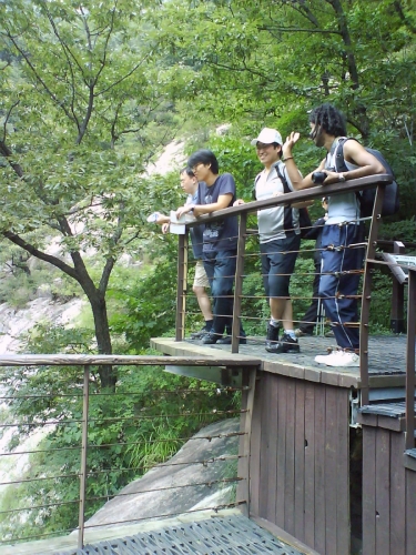 Gyeryong Mountain, 2009